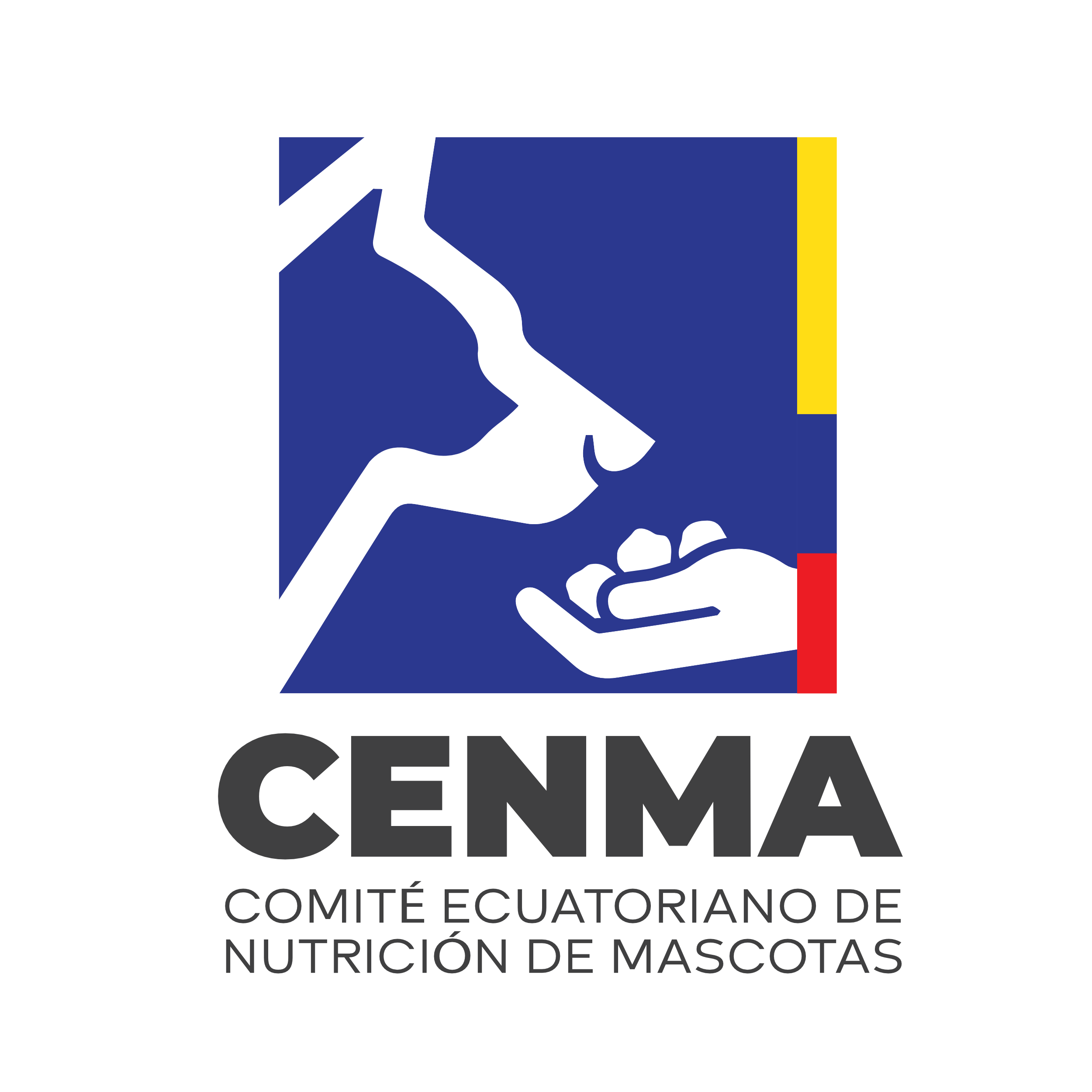 CENMA